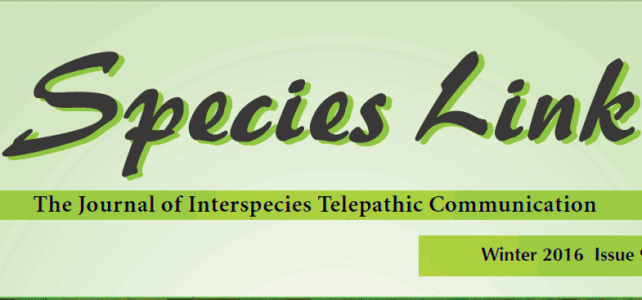 Species Link Journal Featured “Existence as a Continuum” by Dr. J. Zohara Meyerhoff Hieronimus, DHL Species Link Journal Featured “Existence as a Continuum” by Dr. J. Zohara Meyerhoff Hieronimus, DHL