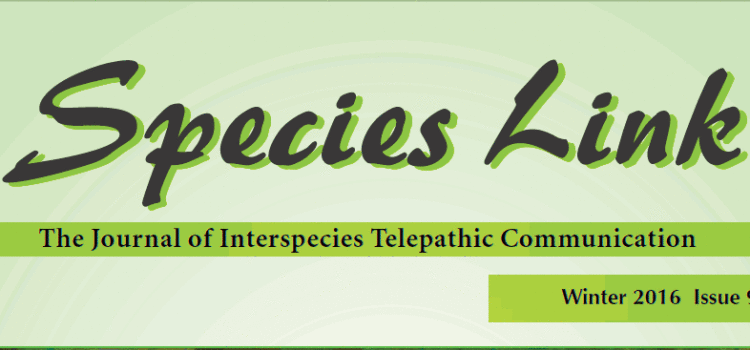 Species Link Journal Featured “Existence as a Continuum” by Dr. J. Zohara Meyerhoff Hieronimus, DHL